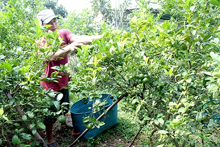 Kinh tế - xã hội chuyển biến tích cực