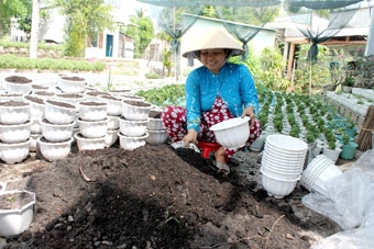 Đa dạng chủng loại