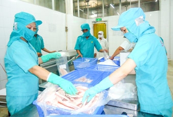 Làm tốt vai trò “cầu nối”