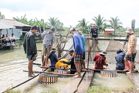 Năm 2016, ra sức nâng cao 
sức cạnh tranh cho nền kinh tế