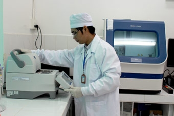 Nâng cao chất lượng giống nòi
