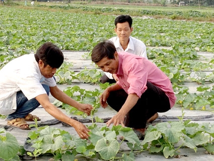 Khắc phục hạn chế, tạo chuyển biến mới trên các lĩnh vực