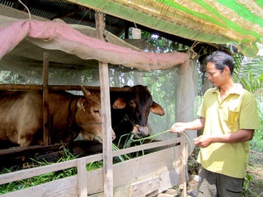 Tạo sinh kế, giúp nông dân thoát nghèo