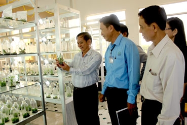 THÚC ĐẨY CHUYỂN ĐỔI CƠ CẤU GIỐNG PHỤC VỤ SẢN XUẤT