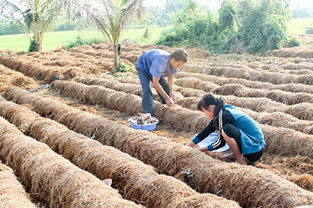 Xây dựng nền nông nghiệp phát triển toàn diện