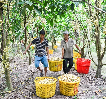Vào “sân chơi” WTO cộng (+)