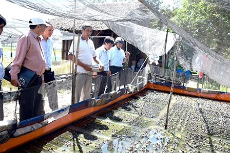 Trung An xây dựng 
“xã nông thôn mới” bền vững