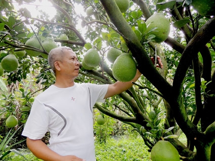Tiếp tục làm “bệ đỡ” cho nông dân