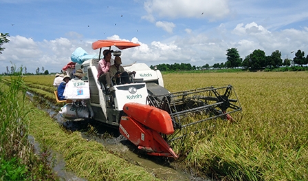 Chủ động, hoàn thiện các chính sách phát triển kinh tế tập thể