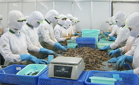 Cần Thơ đón cơ hội mới từ hội nhập