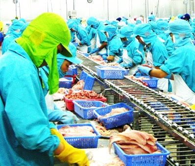 Năng động để hỗ trợ doanh nghiệp