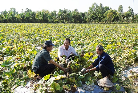 Khắc phục hạn chế, xây dựng đảng bộ trong sạch vững mạnh