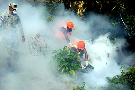 WHO họp khẩn về vi-rút Zika