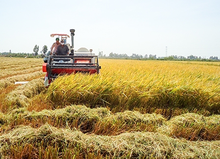 Đổi mới tư duy sản xuất để thích ứng TPP