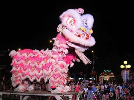 Giải Lân  Sư  Rồng và thi diễn các môn võ thuật 

TP Cần Thơ năm 2016