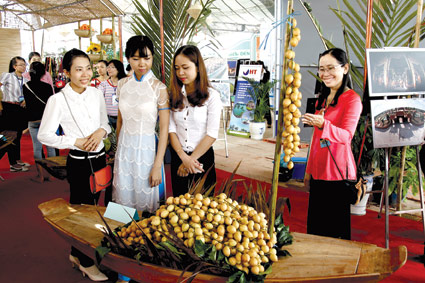 Những cánh én dệt đời nên xuân...