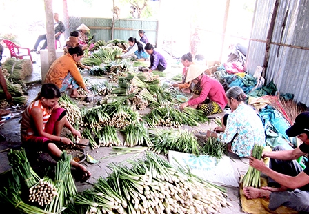 KHẲNG ĐỊNH VỊ THẾ ĐẤT CÙ LAO