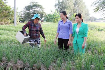 XÂY DỰNG NHIỀU MÔ HÌNH, PHẦN VIỆC THIẾT THỰC LÀM THEO GƯƠNG BÁC