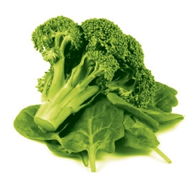 Ăn rau xanh giảm nguy cơ ngộ độc thực phẩm