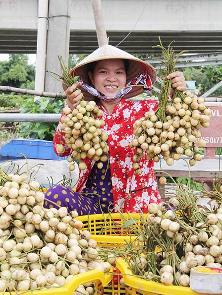 Cần vai trò 
“ĐẦU TÀU” 
dẫn dắt 
doanh nghiệp