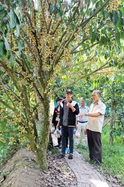 HUYỆN NGOẠI THÀNH CHUYỂN MÌNH HỘI NHẬP