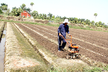Nông dân trồng rau màu làm đất bằng máy tiết kiệm chi phí sản xuất