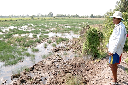 CHUNG TAY PHÒNG CHỐNG XÂM NHẬP MẶN CHO VÙNG VỰA LÚA ĐBSCL
