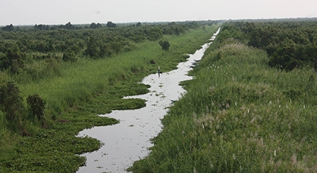 Vườn quốc gia U Minh Thượng
trở thành khu Ramsar quốc tế