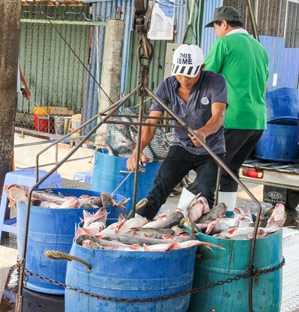 Tận dụng lợi thế xuất khẩu