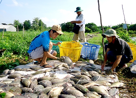 NÂNG CAO GIÁ TRỊ THỦY SẢN