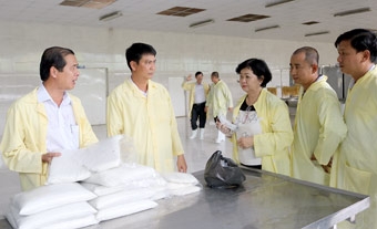 Cần tạo điều kiện cho Công ty cổ phần BJ&T phát triển sản xuất kinh doanh