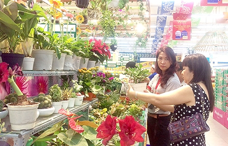 Chọn quà cho ngày 8-3