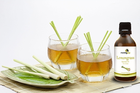 Cây sả và một số công dụng phổ biến