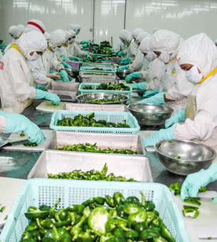 Xu thế và triển vọng