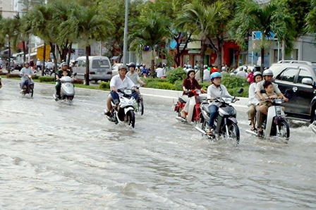 Tăng cường năng lực quản lý 
vệ sinh môi trường
