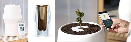 Trồng cây để tưởng nhớ người thân bằng chậu Bios Incube