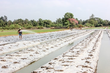 Hoàn chỉnh hệ thống thủy lợi, chủ động phòng chống hạn