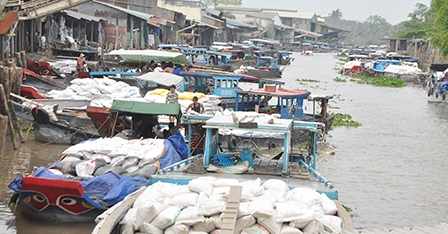 Nghịch lý giá nông sản