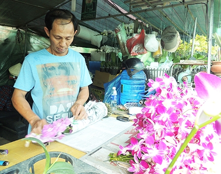 PHÁT TRIỂN NÔNG NGHIỆP ĐÔ THỊ XANH