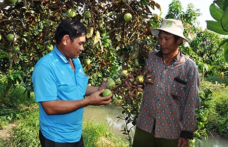 Lãnh đạo thực hiện nhiều giải pháp
thúc đẩy kinh tế phát triển