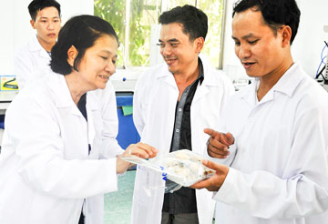 Nấm rơm sạch Cỏ May