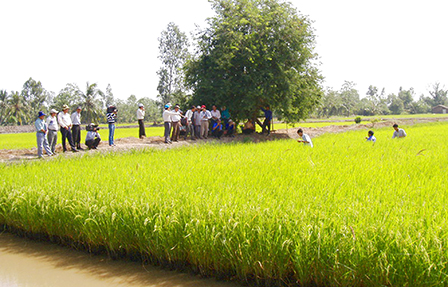 Phòng, chống hay thích ứng?