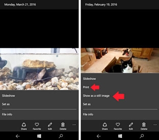 Ứng dụng Photos và Camera trên Windows 10 Mobile được cập nhật