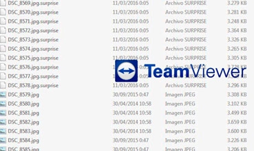 Virus đòi tiền chuộc Surprise lây nhiễm qua chương trình TeamViewer
