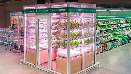 Nông trại thẳng đứng đã vào siêu thị