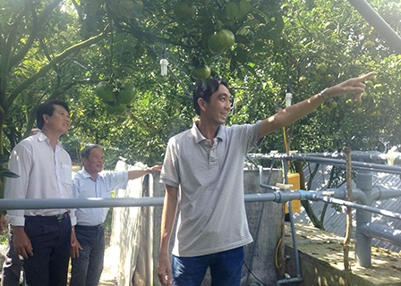 Áp dụng giải pháp tưới tiết kiệm
để ứng phó với hạn, mặn