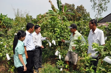 XÂY DỰNG, CỦNG CỐ NIỀM TIN 
CỦA NHÂN DÂN VÀO SỰ LÃNH ĐẠO CỦA ĐẢNG