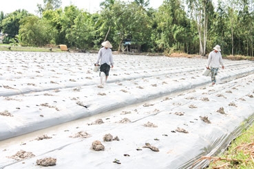 Chính quyền và nhà khoa học bắt tay hợp tác