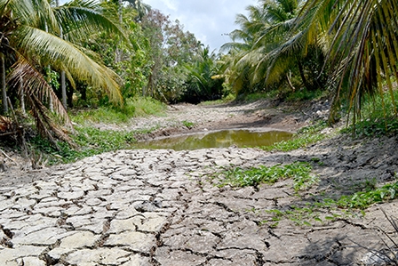 Hành động ngay 
vì một ĐBSCL trù phú