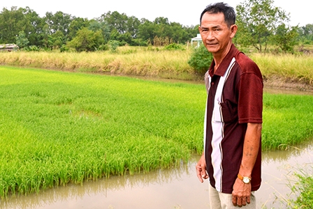 Hành động ngay vì một ĐBSCL trù phú